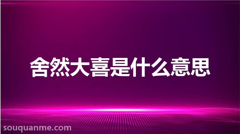 舍然大喜是什么意思 舍然大喜的拼音 舍然大喜的成语解释